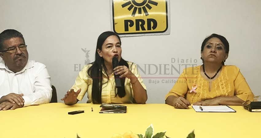 “No nos fue como quisiéramos, pero nos fue mucho mejor con el PAN”: PRD
