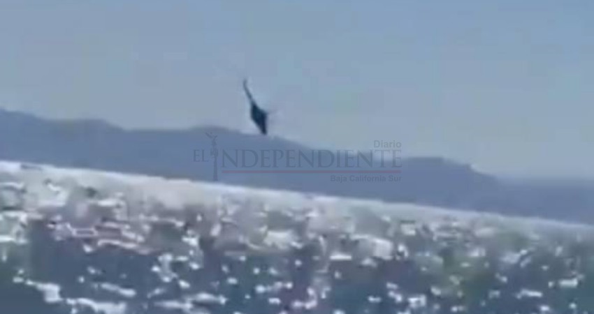 Cae helicóptero de la Marina en el Golfo de California
