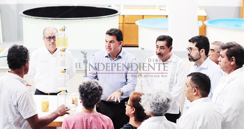 Celebra Cicimar el 40 aniversario del posgrado en BCS