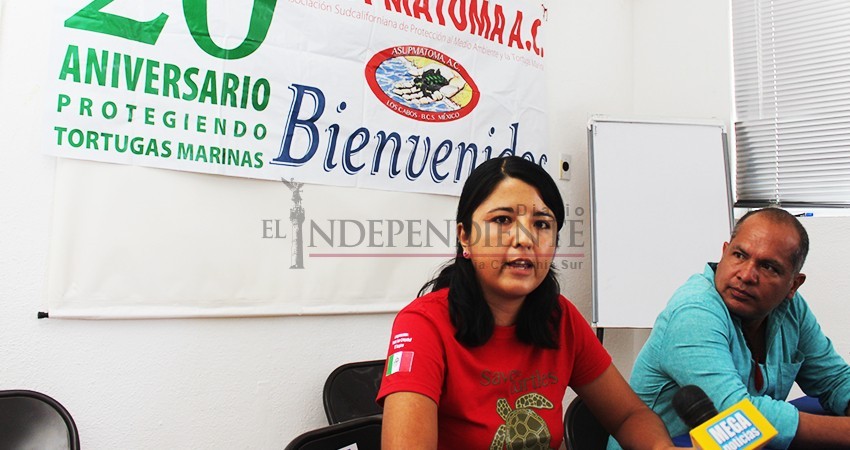 Suspende Campamento Tortuguero Asupmatoma actividades de protección, y educación ambiental
