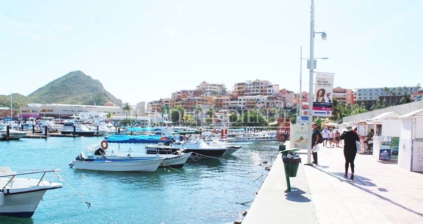 Por definir API de CSL proyecto de mejoras en personal de seguridad en la marina