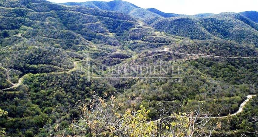 Debe Semarnat dar a conocer dictamen para mina “Los Cardones”: CAS