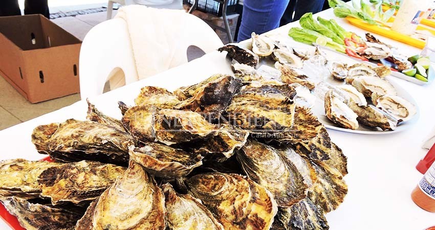 Producción de ostión es la quinta pesquería más importante de BCS 