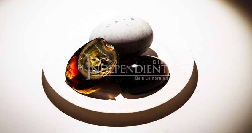 ¿Exquisito o repugnante? Museo sueco expone platillos raros