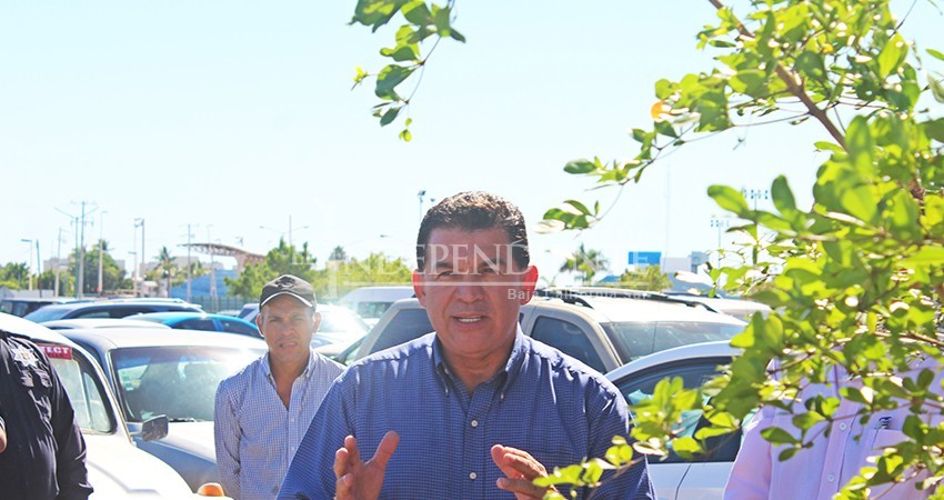 Recibe el Ayuntamiento de La Paz 4 mil árboles donados por Conafor