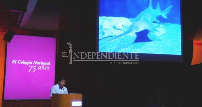 Descubren restos de peces sierra en el Templo Mayor