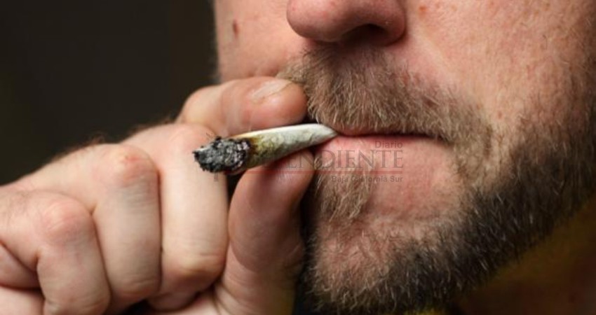 No es conveniente que legalicen el consumo de la marihuana: CIJ