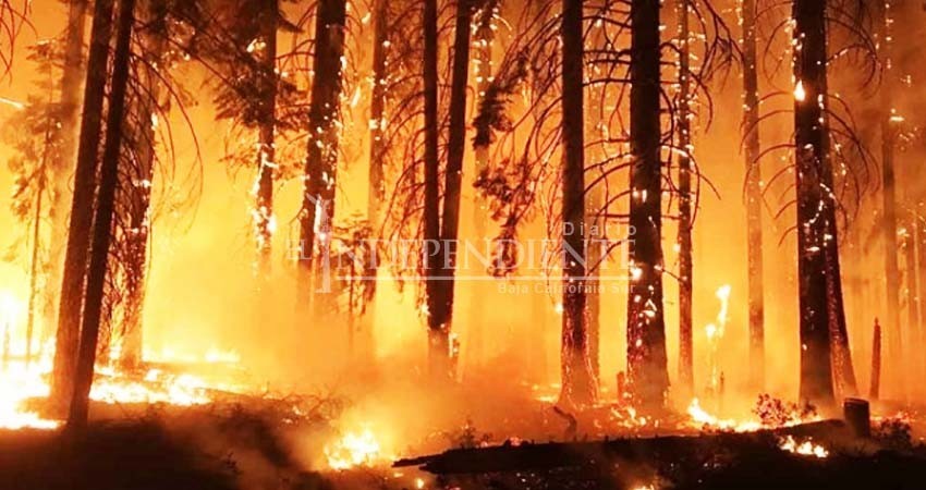 Esperan controlar incendios en California antes de Navidad