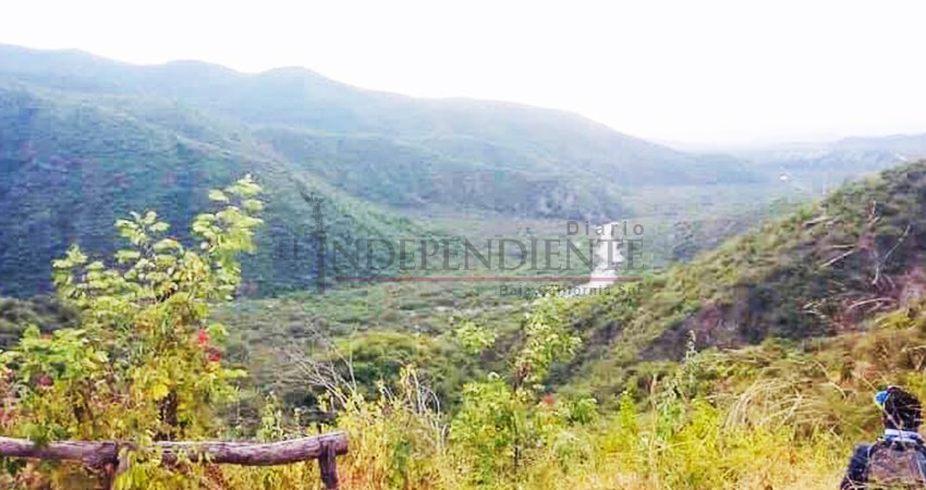 Llama el Senado a Semarnat a emitir resoluciones sobre proyecto minero “Los Cardones”