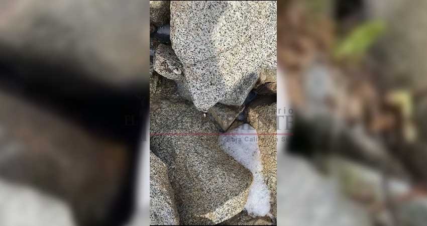 Denuncian derrame de jabón en la Marina de CSL por parte de un hotel