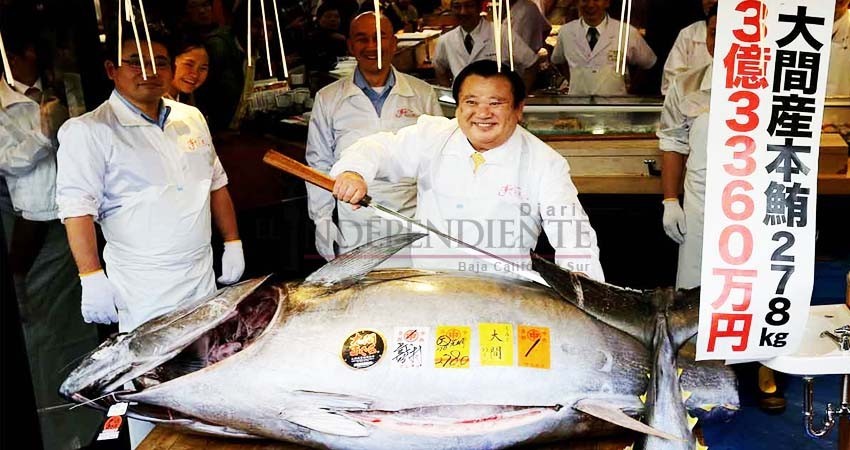 El rey del sushi en Japón compra un atún de 278 kilos en 3 mdd