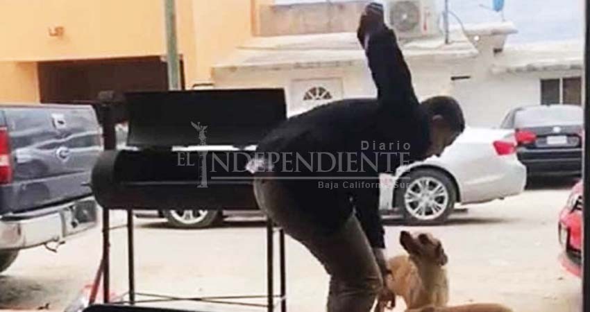 Identifican a sujeto que apuñaló y mató a perro en Piedras Negras