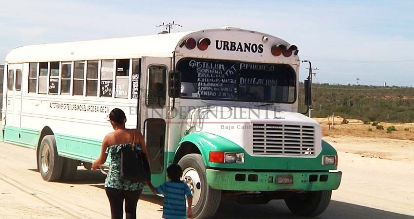 Aumento de tarifa al transporte público no está en la agenda de trabajo: Tracolsa
