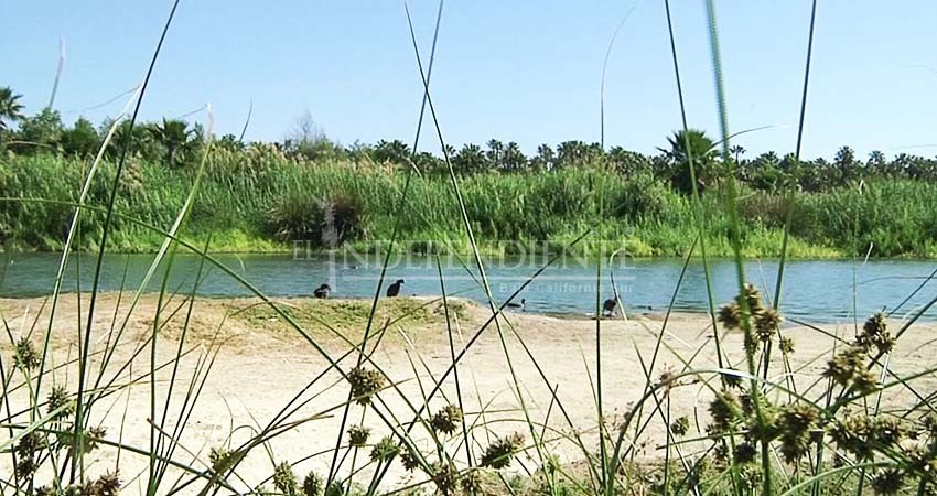 Ciudadanos preocupados por el Estero sostienen reunión con Ecología y Medio Ambiente