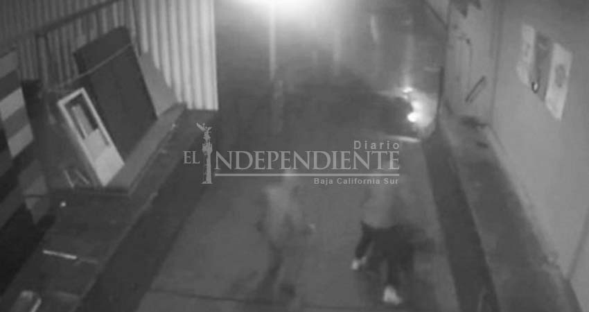 Difunden video de brutal golpiza a político alemán