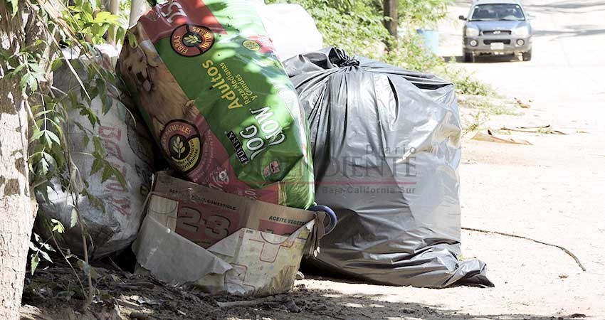 A paso lento, pero avanza la cultura ciudadana en el tema de la basura: Servicios Públicos