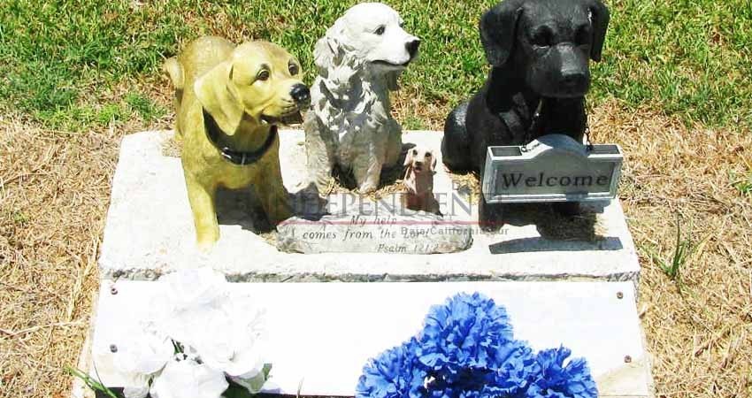 Anuncian el primer cementerio de mascotas para La Paz