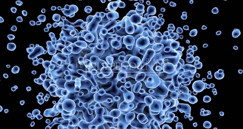 Esta rara enfermedad provoca ataques epilépticos en niños