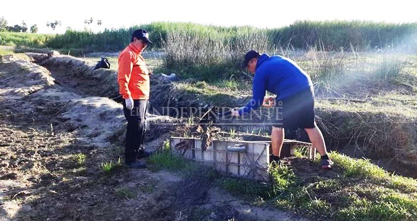 Ciudadanos organizados realizan limpieza en el Estero de San José