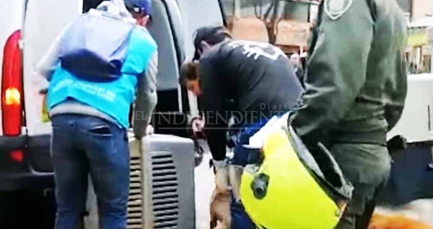 Menor abusaba sexualmente de su perrita; lo permitían sus padres