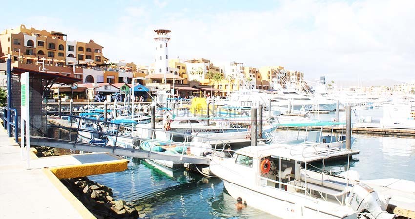 Busca API inversión de 150 millones de pesos para modernización del recinto portuario