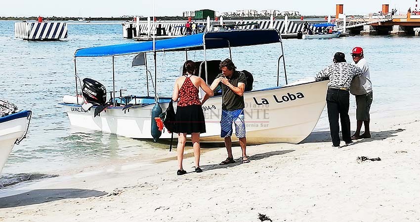 Denuncian prestadores de servicios del malecón problemas con SEMARNAT para avistamiento de Tiburón Ballena