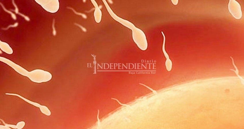 Consumidores de mariguana producen más espermatozoides, según estudio