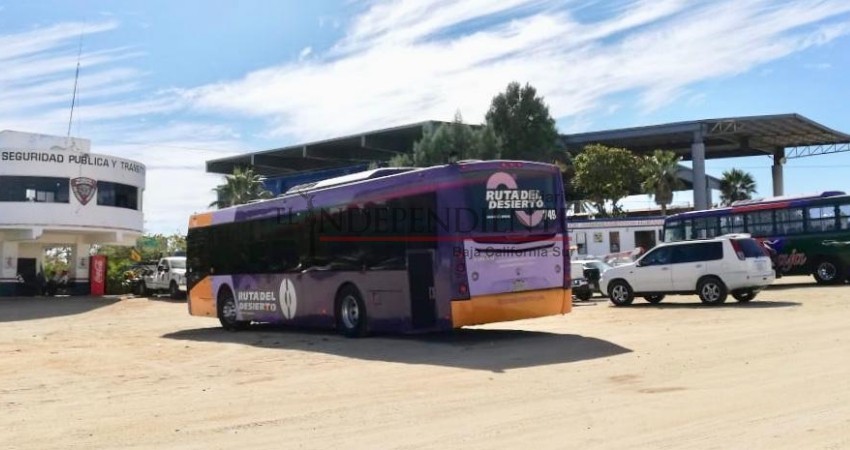 A golpes se agarraron un par de choferes del transporte público por el pasaje en Los Cabos