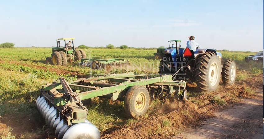 Seguimiento de Sagarpa contra productores deudores de La Paz continúa con SADER