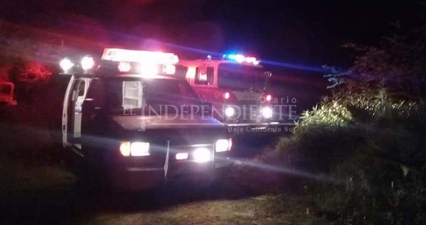 Vuelven los incendios en palmares de Todos Santos