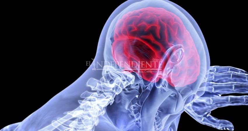 Universitarios tratarán depresión y ansiedad con psicobiótico