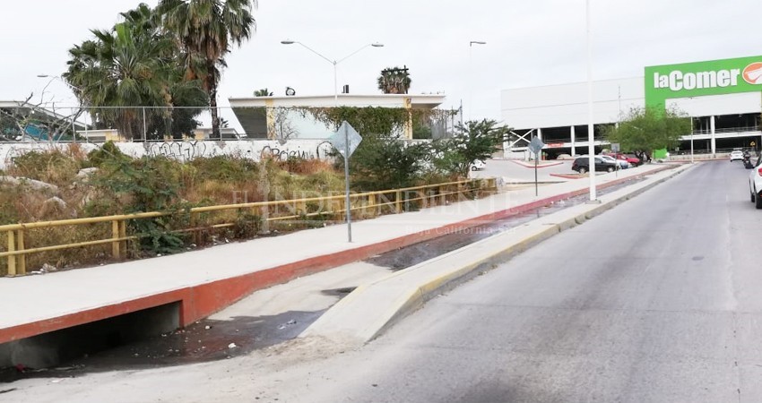 Aguas negras  de CSL afecta la economía de negocios locales