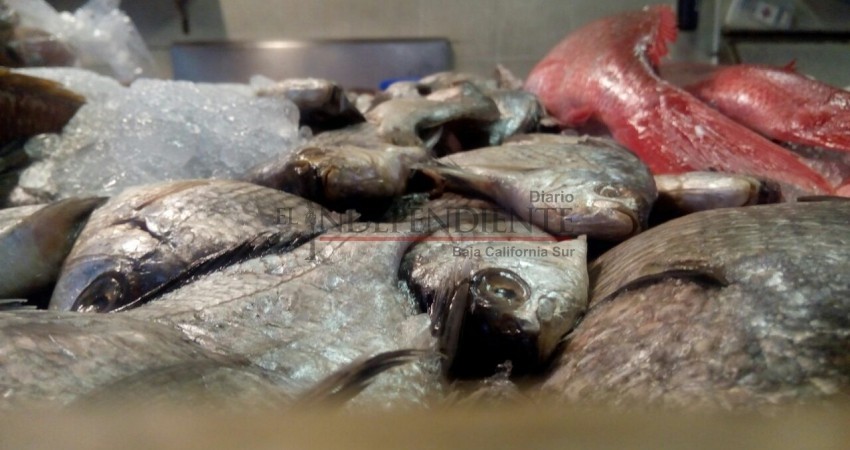 Reportan pescaderías escasez de producto a causa de vientos y clima frío