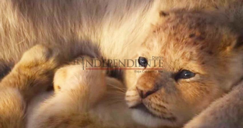 Difunden otro adelanto de 'El rey león', la cinta de Disney