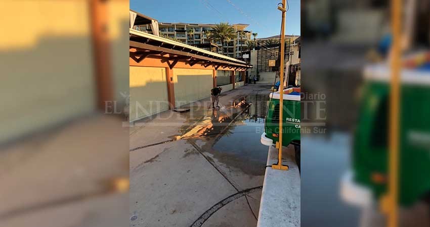 Denuncian restaurantes de El Médano vertimiento de aguas que provoca daños y contaminación en la zona