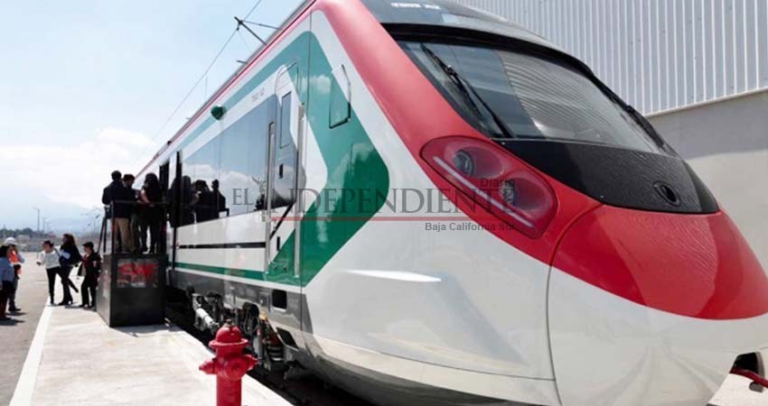 Acelera SFP investigación sobre irregularidades en Tren Interurbano