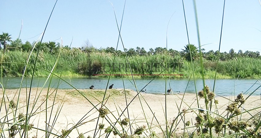 Estero josefino cuenta con personal capacitado para combatir incendios forestales