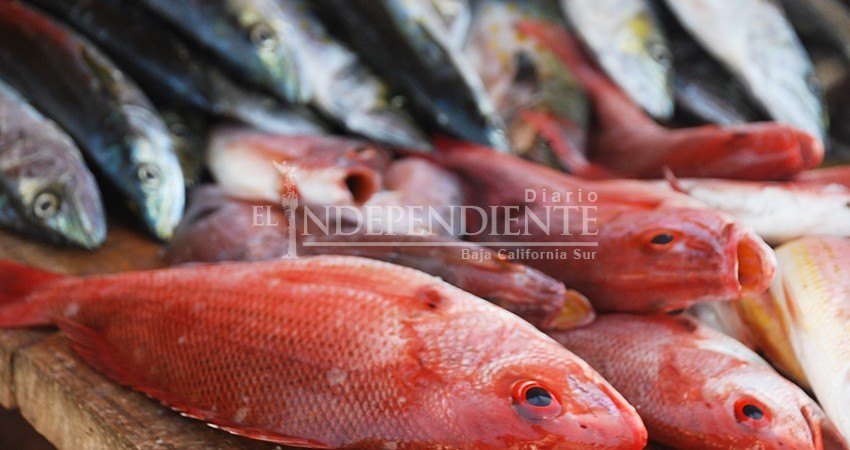 Estamos condicionados por la naturaleza; señala autoridad sobre producción en cuaresma