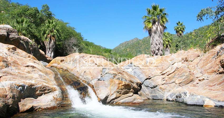 Mina “La Pitalla” es “inviable” para Consejo Estatal Forestal BCS