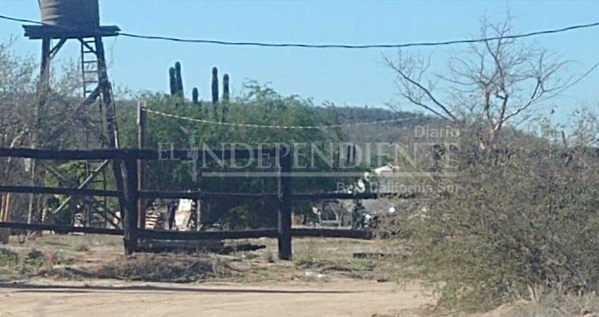 Se quitó la vida colgándose de un árbol en La Paz