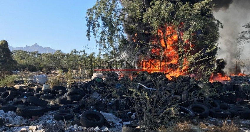 Hasta 25 incendios por quema descontrolada se registran mensualmente: PC