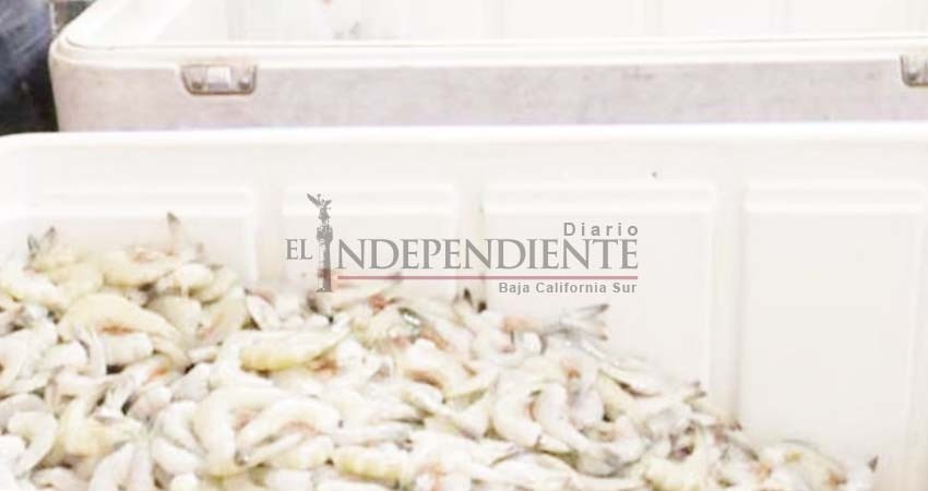 Que los ciudadanos no compren producto del mar en la vía pública, pide Coepris