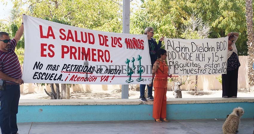 Son 12 niños los afectados en Todos Santos por pesticidas cancerígenos