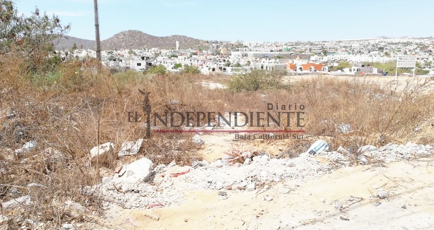 Busca Colegio de Arquitectos de BCS limitar facultad de cabildos en cambio de Uso de Suelo