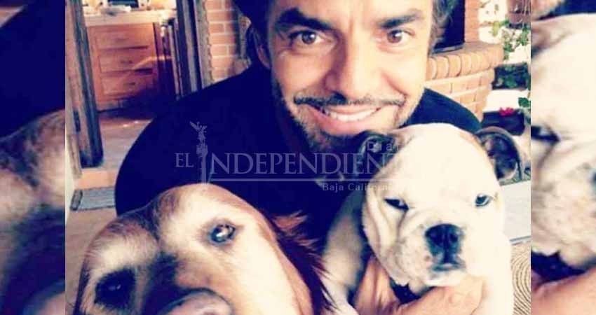 Eugenio espera que se concrete iniciativa contra maltrato animal