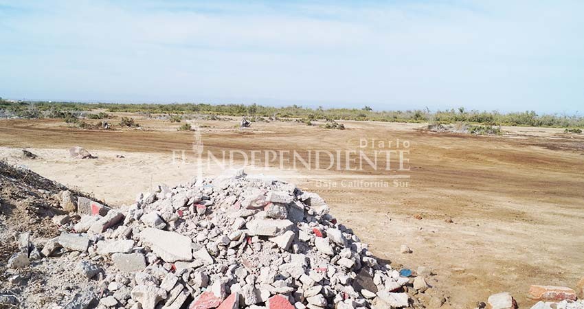 Sirve manglar del Conchalito de La Paz como tiradero y pista “motocross”