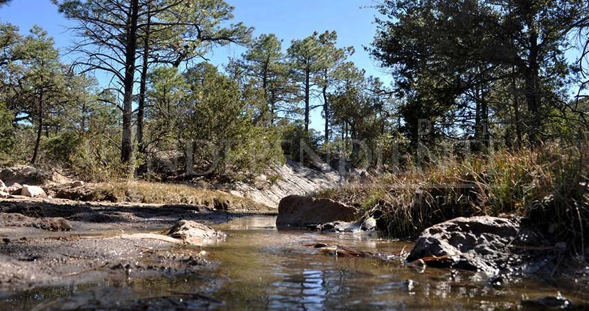 BCS es uno de los Estados con los mantos acuíferos más sobreexplotados del país