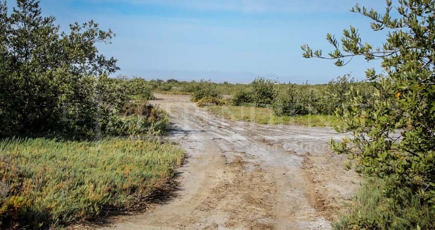 No habrá construcciones en El Conchalito: ZOFEMAT