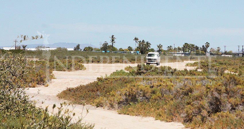 Alcalde de La Paz a Profepa: “No se puede clausurar algo que no existe”