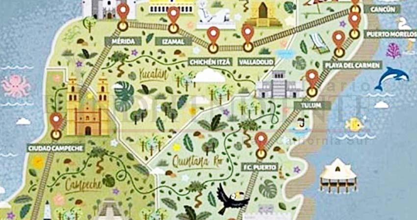 Antes de noviembre, estudios de impacto ambiental de Tren Maya